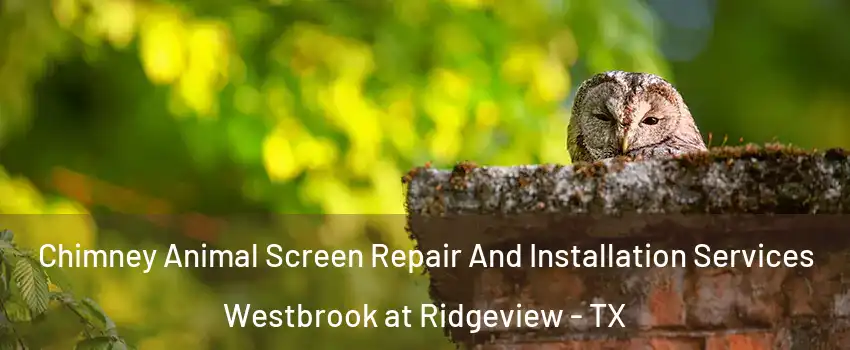 Chimney Animal Screen Repair And Installation Services Westbrook at Ridgeview - TX