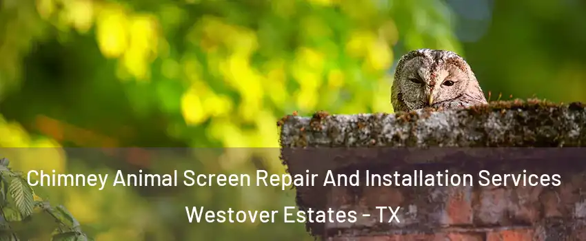 Chimney Animal Screen Repair And Installation Services Westover Estates - TX