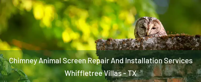 Chimney Animal Screen Repair And Installation Services Whiffletree Villas - TX