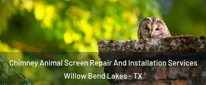 Chimney Animal Screen Repair And Installation Services Willow Bend Lakes - TX