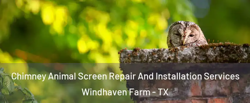 Chimney Animal Screen Repair And Installation Services Windhaven Farm - TX