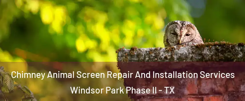 Chimney Animal Screen Repair And Installation Services Windsor Park Phase II - TX