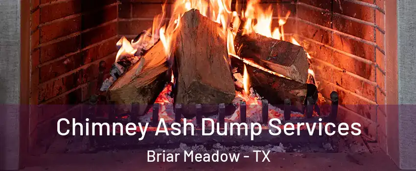 Chimney Ash Dump Services Briar Meadow - TX