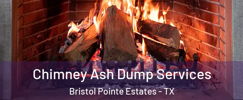 Chimney Ash Dump Services Bristol Pointe Estates - TX