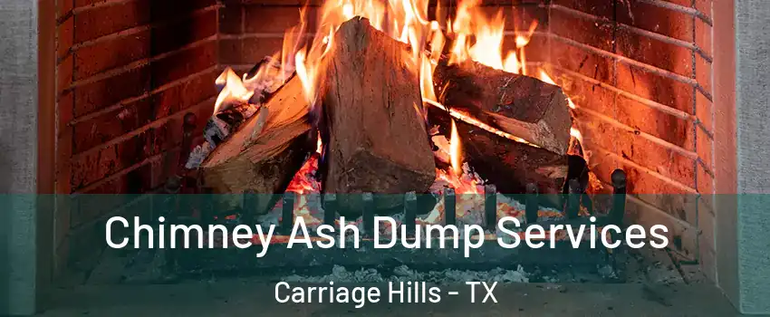 Chimney Ash Dump Services Carriage Hills - TX