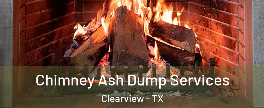 Chimney Ash Dump Services Clearview - TX