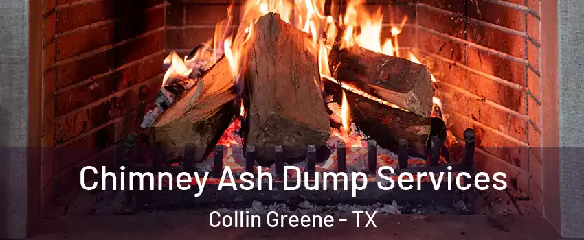 Chimney Ash Dump Services Collin Greene - TX