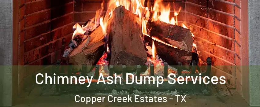 Chimney Ash Dump Services Copper Creek Estates - TX