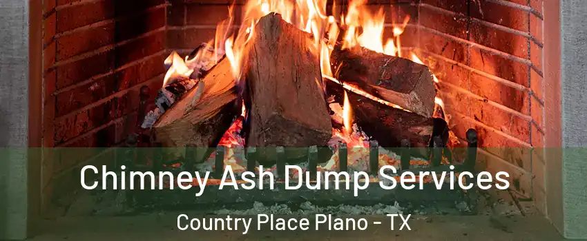 Chimney Ash Dump Services Country Place Plano - TX