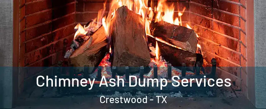 Chimney Ash Dump Services Crestwood - TX