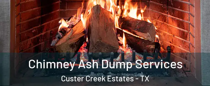 Chimney Ash Dump Services Custer Creek Estates - TX