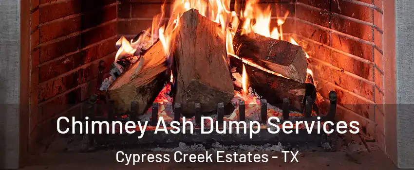 Chimney Ash Dump Services Cypress Creek Estates - TX