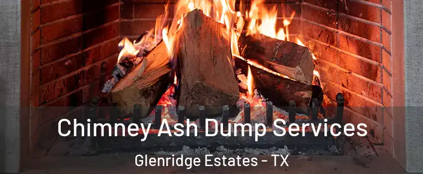 Chimney Ash Dump Services Glenridge Estates - TX