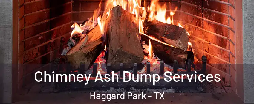 Chimney Ash Dump Services Haggard Park - TX