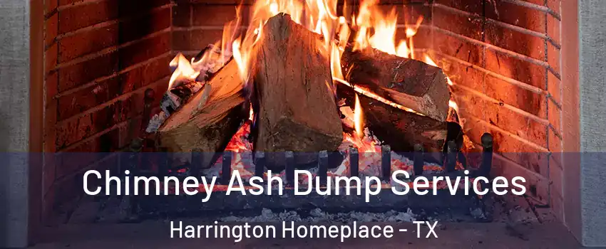 Chimney Ash Dump Services Harrington Homeplace - TX