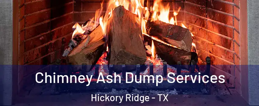 Chimney Ash Dump Services Hickory Ridge - TX