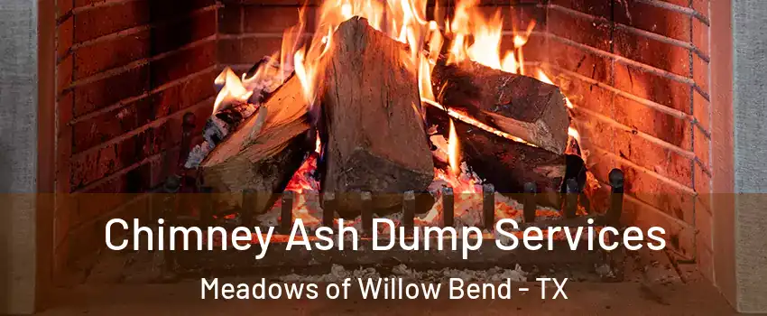 Chimney Ash Dump Services Meadows of Willow Bend - TX