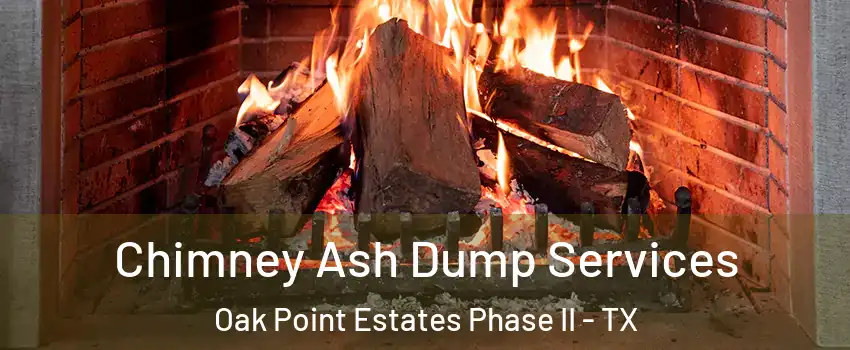 Chimney Ash Dump Services Oak Point Estates Phase II - TX