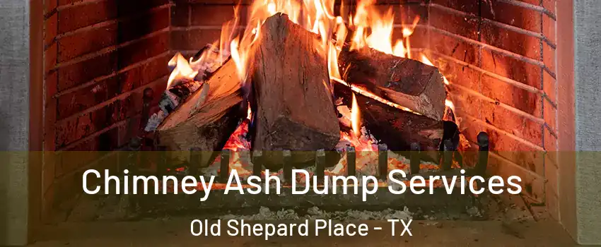 Chimney Ash Dump Services Old Shepard Place - TX