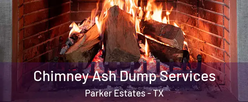 Chimney Ash Dump Services Parker Estates - TX