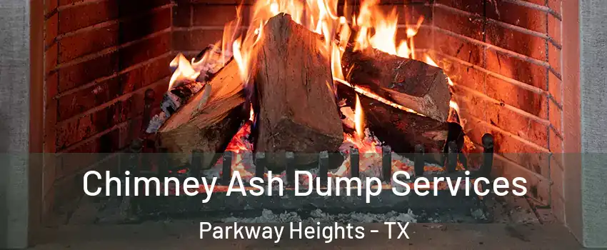 Chimney Ash Dump Services Parkway Heights - TX