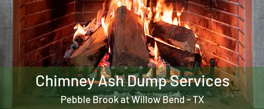 Chimney Ash Dump Services Pebble Brook at Willow Bend - TX