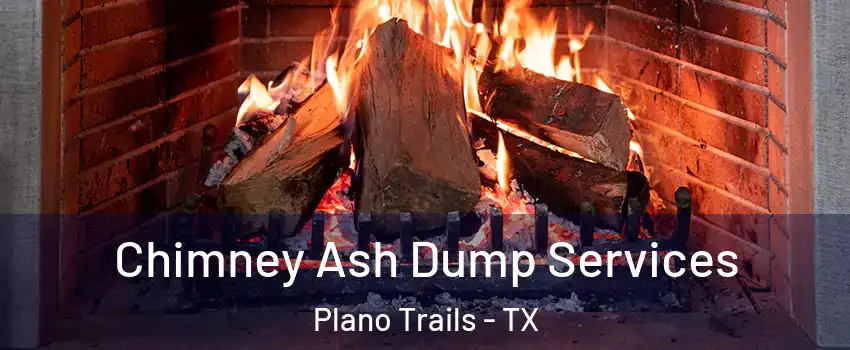 Chimney Ash Dump Services Plano Trails - TX