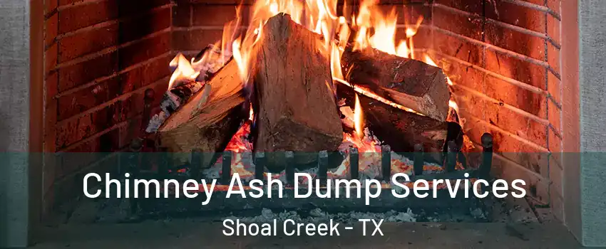 Chimney Ash Dump Services Shoal Creek - TX