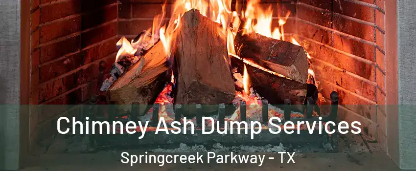 Chimney Ash Dump Services Springcreek Parkway - TX