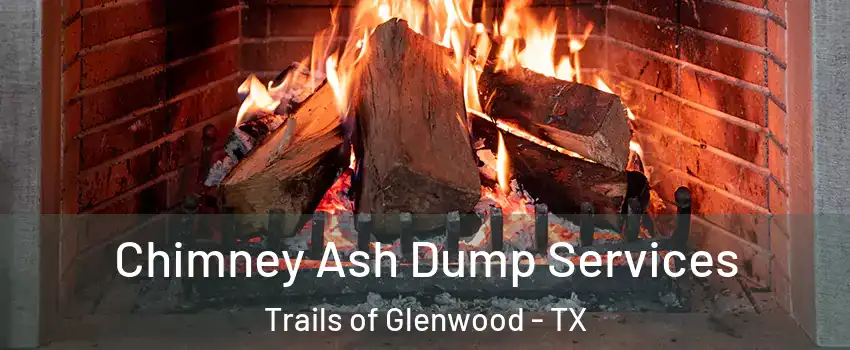 Chimney Ash Dump Services Trails of Glenwood - TX