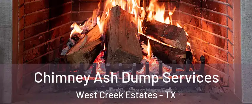 Chimney Ash Dump Services West Creek Estates - TX