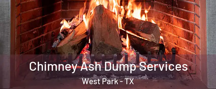 Chimney Ash Dump Services West Park - TX