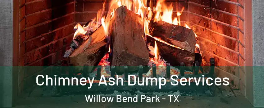 Chimney Ash Dump Services Willow Bend Park - TX