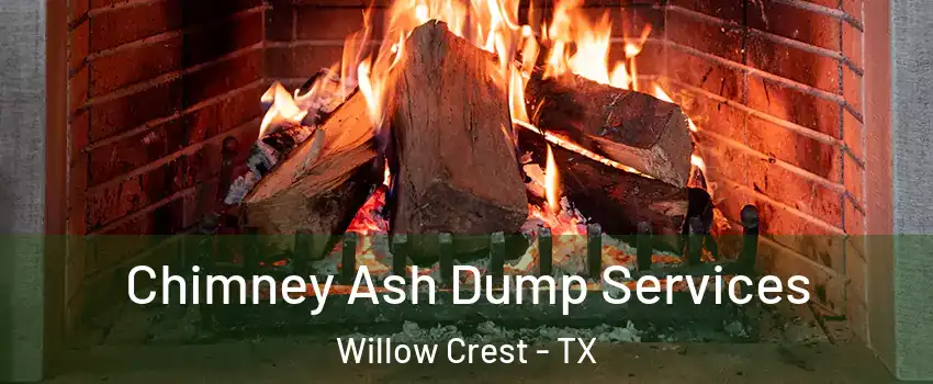 Chimney Ash Dump Services Willow Crest - TX