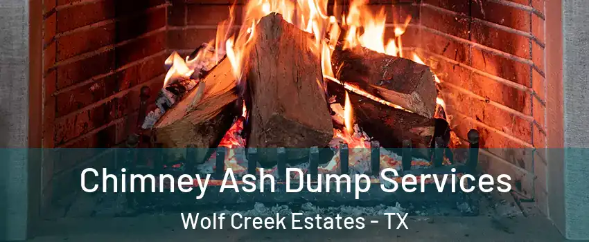 Chimney Ash Dump Services Wolf Creek Estates - TX