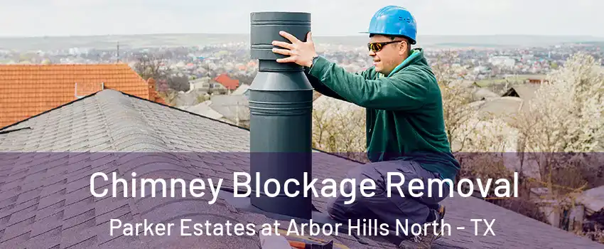 Chimney Blockage Removal Parker Estates at Arbor Hills North - TX