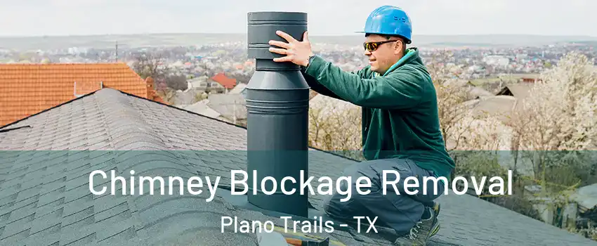 Chimney Blockage Removal Plano Trails - TX