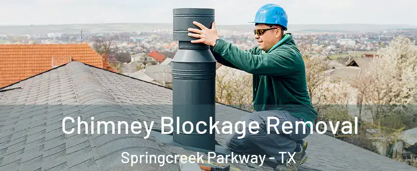 Chimney Blockage Removal Springcreek Parkway - TX