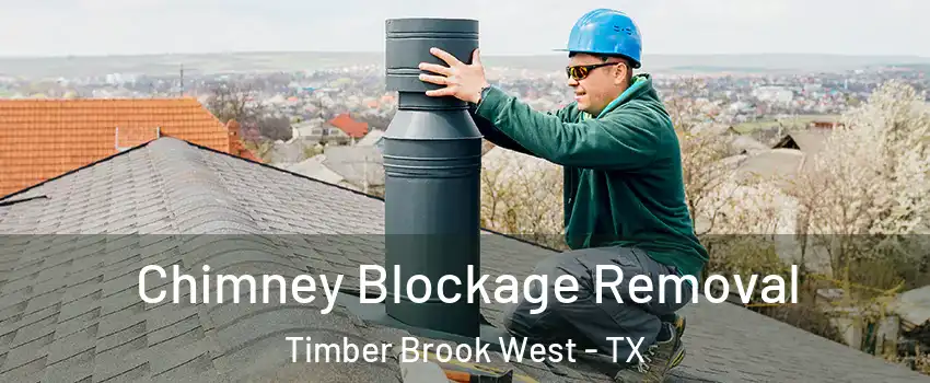 Chimney Blockage Removal Timber Brook West - TX