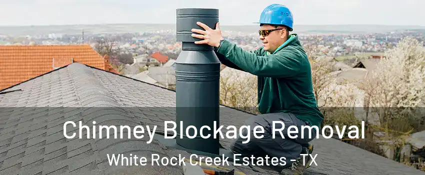 Chimney Blockage Removal White Rock Creek Estates - TX