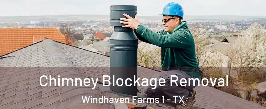 Chimney Blockage Removal Windhaven Farms 1 - TX