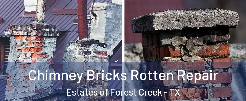 Chimney Bricks Rotten Repair Estates of Forest Creek - TX