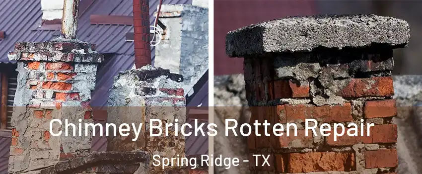 Chimney Bricks Rotten Repair Spring Ridge - TX