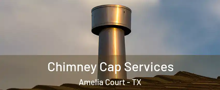 Chimney Cap Services Amelia Court - TX