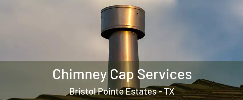 Chimney Cap Services Bristol Pointe Estates - TX