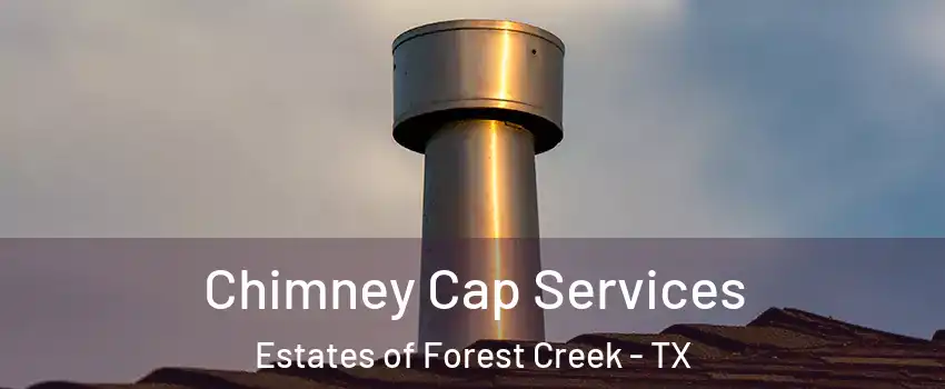 Chimney Cap Services Estates of Forest Creek - TX