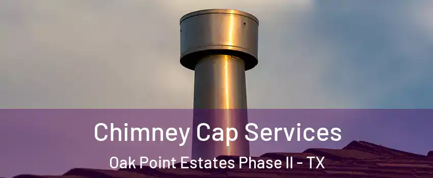 Chimney Cap Services Oak Point Estates Phase II - TX