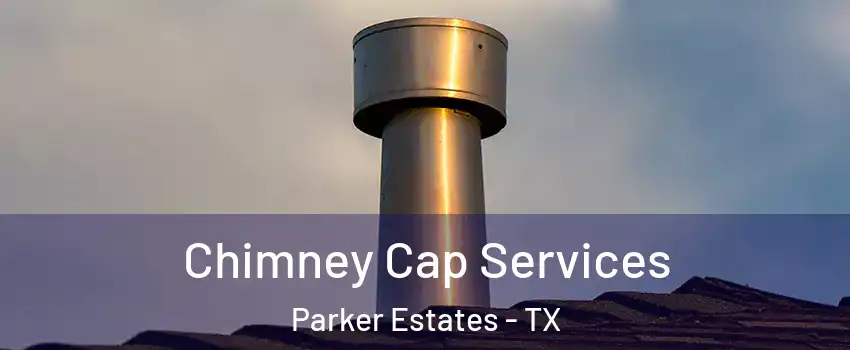 Chimney Cap Services Parker Estates - TX