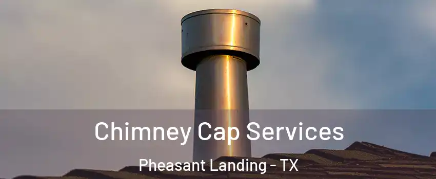 Chimney Cap Services Pheasant Landing - TX