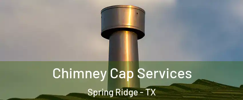 Chimney Cap Services Spring Ridge - TX